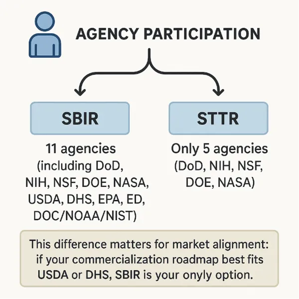 Illustration of Agency Participation