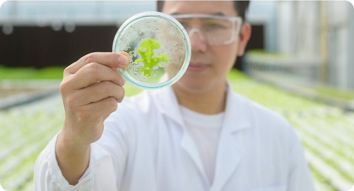 Grant application process step 3